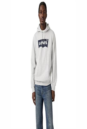 GRAPHIC SWEATSHIRT-ssnl filled bw po light heather grey